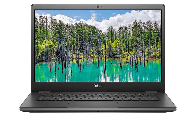 Dell Latitude 3410 14 inch Intel Core I7-10th Gen 16GB RAM 256GB SSD Microsoft Windows 10 Pro